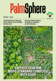 PalmSphere #04 PalmSphere #04