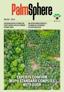 PalmSphere #04 PalmSphere #04