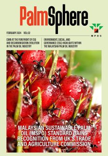 PalmSphere #02 PalmSphere #02