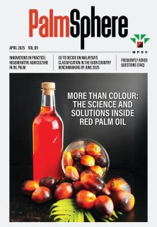 PalmSphere #09 PalmSphere #09