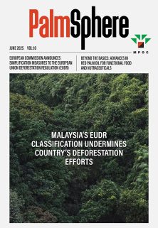 PalmSphere #10 PalmSphere #10