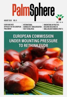 PalmSphere #11 PalmSphere #11