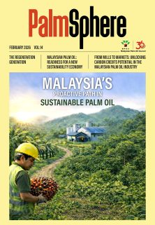 PalmSphere #14 PalmSphere #14