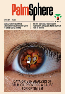 PalmSphere #03 PalmSphere #03