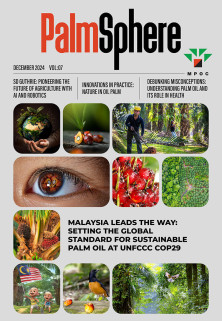 PalmSphere #07 PalmSphere #07