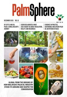 PalmSphere #13 PalmSphere #13