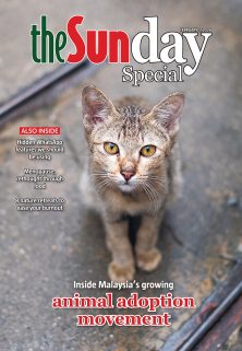 TheSundaySpecial 44 TheSundaySpecial 44